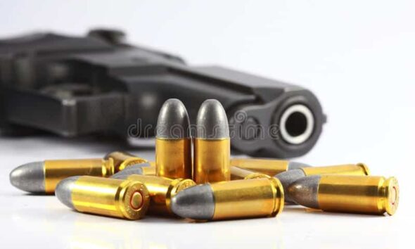 Registro de armas no Acre caiu 86% em 2023 em relação ao ano anterior, diz Polícia Federal