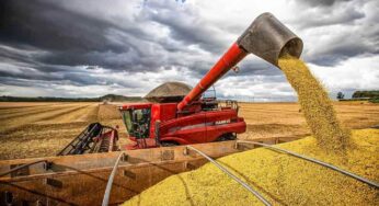 Com mais de 76% da balança comercial, soja domina exportações do Acre em abril
