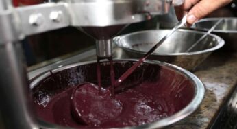 Governo garante 35% de preço mínimo do açaí do Acre