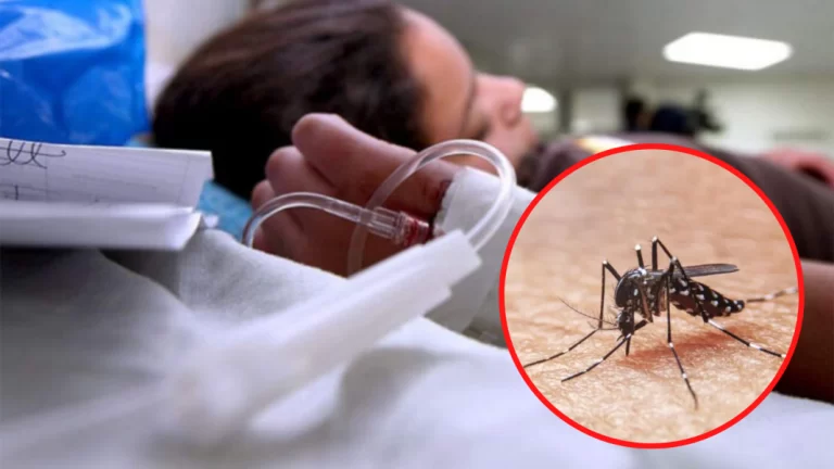 Ministério da Saúde reforça orientações para combater o mosquito da dengue