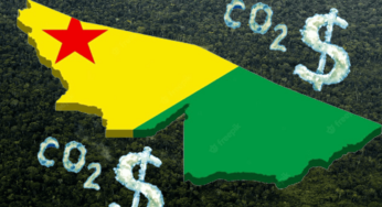 Mercado de carbono pode movimentar R$ 128 bilhões; Acre é um dos estados pioneiros