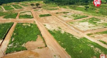 Ipê Loteamentos será investigada por suposto dano ambiental