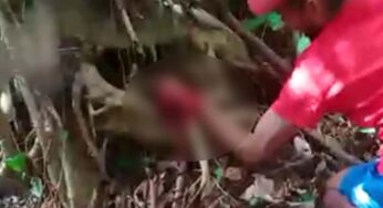 No Acre, homem tem mão decepada por membros de facção