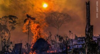 Desmate: Acre passa de 7 mil km² e estado está entre os que mais derrubam floresta