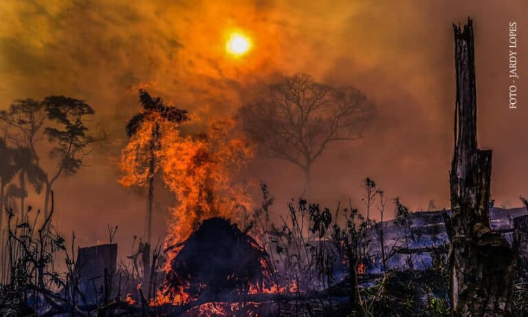 Agosto deste ano é o mês com menor quantidade de queimadas no Acre desde o ano 2000