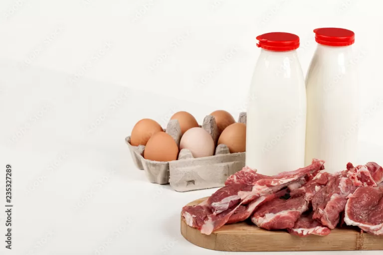Estudo da FAO defende carne, ovos e leite como ‘fonte essencial de nutrientes’