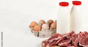 Estudo da FAO defende carne, ovos e leite como ‘fonte essencial de nutrientes’