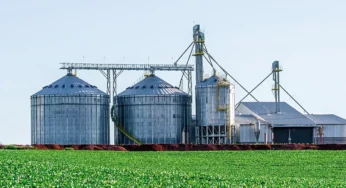 Capacidade de armazenagem de alimentos chega a 80,9 mil toneladas no Acre em 2023