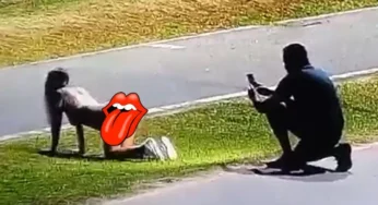 QUE POSE: câmera de segurança grava mulher nua fazendo fotos no Parque Ipê