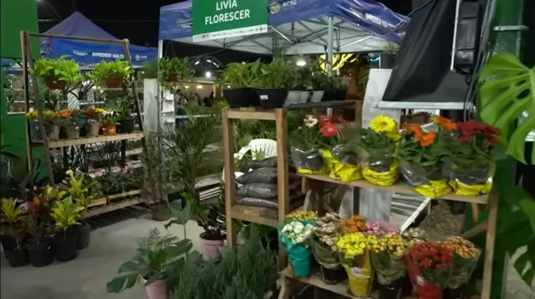 Estandes na Expoacre reúnem diversas espécies de plantas e produtos de jardinagem