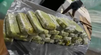 Ocorrências de tráfico de drogas crescem 18% no Acre, aponta relatório
