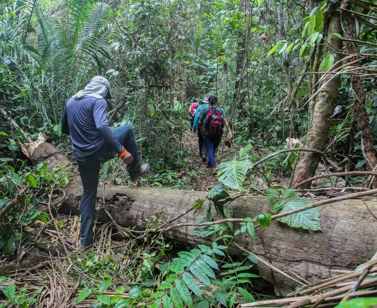 Com 54 km até Assis Brasil,  trilha Chico Mendes é destaque em publicação de longas caminhadas