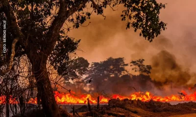 Governo instala sala de crise para queimadas e seca no país