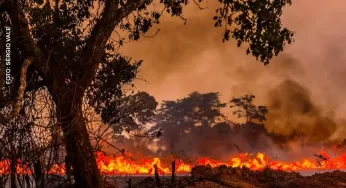Governo instala sala de crise para queimadas e seca no país