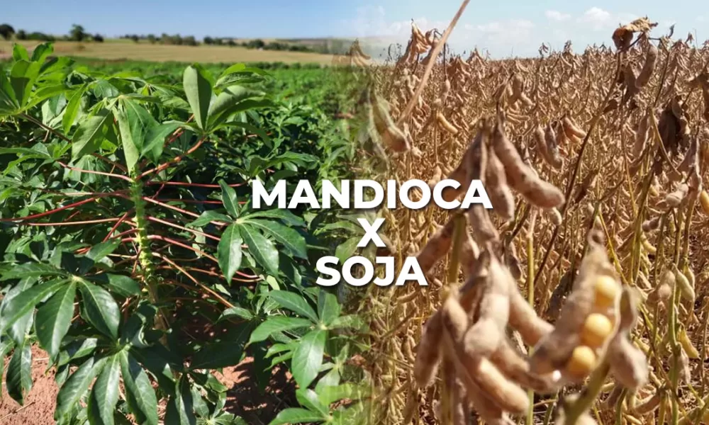 Em 4 anos, produção de soja aumenta 21 mil toneladas e a de mandioca reduz 164 mil no Acre
