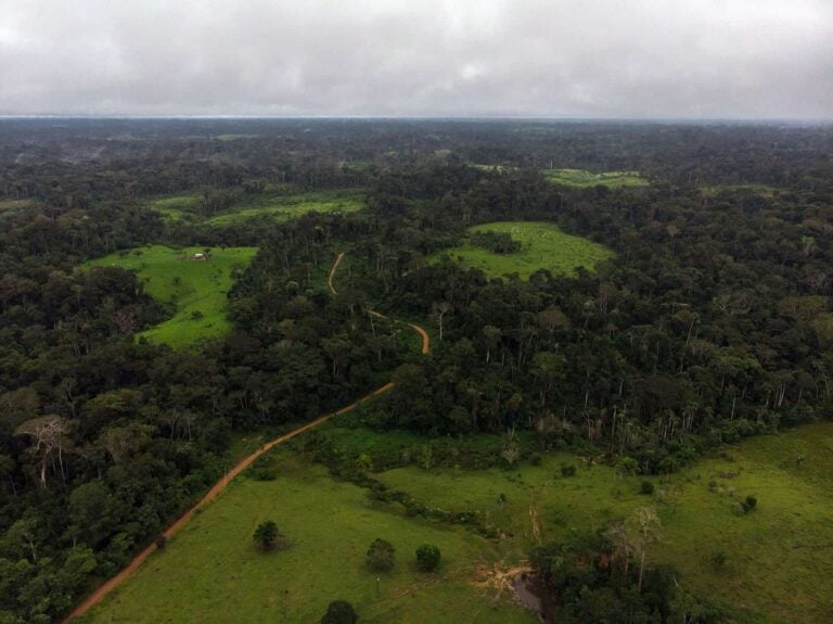 Mais recursos para combater às mudanças climáticas