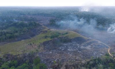 Pela primeira vez, Acre queima vegetação nativa “de ponta a ponta”