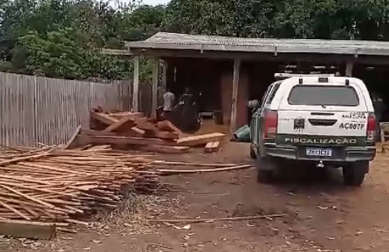 Apreensão de madeiras e maquinários revolta marceneiros na Vila Caquetá