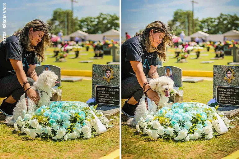 No Acre, cão visita túmulo de dono que faleceu há um mês vítima de câncer