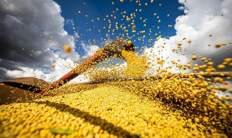 Importação de soja do Brasil pela China aumentaram 29% em relação a 2022