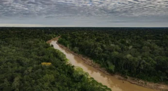 Acre é o primeiro estado brasileiro a aderir a selo global sobre créditos de carbono