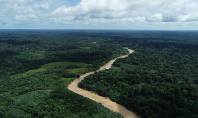 Com chuvas, Acre teve menor índice de desmatamento da Amazônia Legal em fevereiro