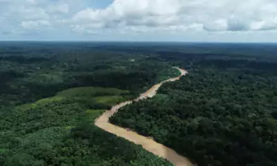 Acre institui sistema de gestão para não perder recursos do Fundo Amazônia