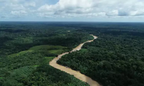Acre tem menor percentual de desmatamento em fevereiro, entre os estados da Amazônia Legal