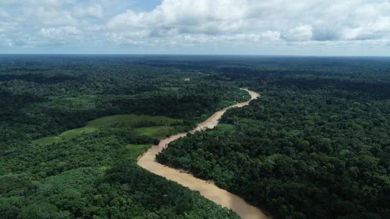 Acre tem menor percentual de desmatamento em fevereiro, entre os estados da Amazônia Legal