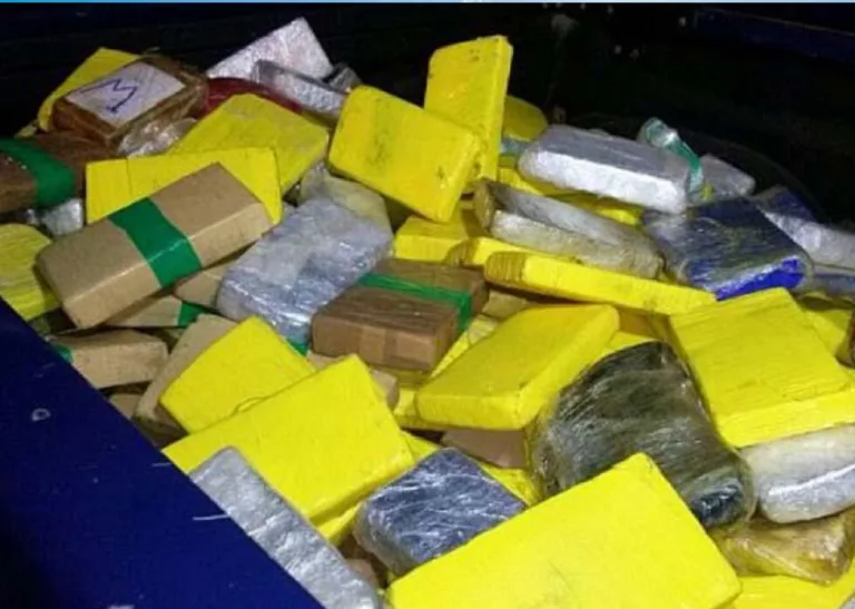 Traficantes do Orgulho do Madeira são presos com 90 quilos de drogas pelo Denarc