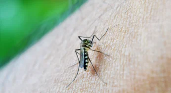 Acre já registra quase 6 mil casos de dengue em 2024