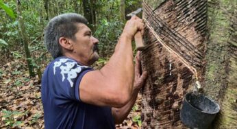 ‘O seringueiro é o melhor guarda florestal’: o novo ciclo de borracha nativa que está ajudando a preservar a Amazônia