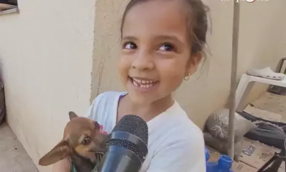 Encantadora de pinscher: Com mais de 350 mil seguidores no Instagram, garota de 6 anos mostra rotina com seus 9 cães