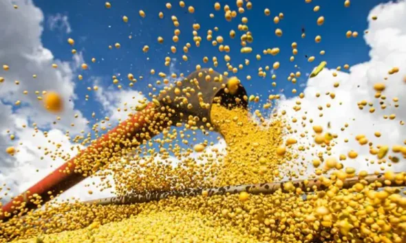 Previsão de safra de grãos do Acre sobe para 14,6 mil toneladas em 2024