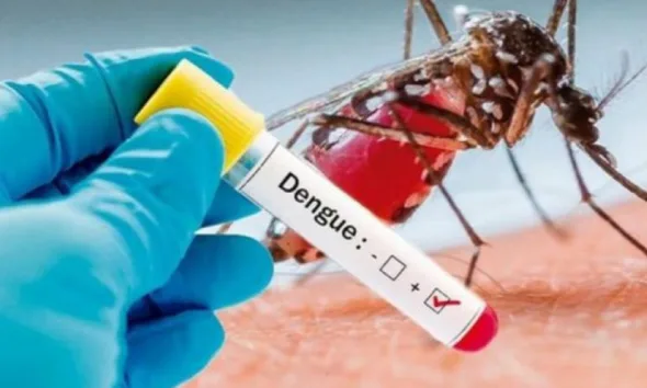 Acre tem 6.503 casos prováveis de dengue e mais de 1.174 confirmados em 2024