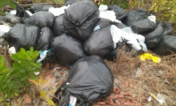 Lixo da maternidade de Roraima é descartado em sítio de Boa Vista