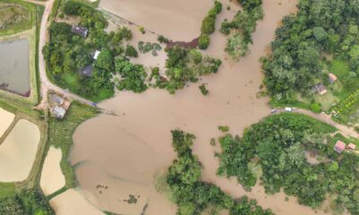 Defesa Civil estima prejuízo de R$ 3 milhões a ribeirinhos após enchente na zona rural