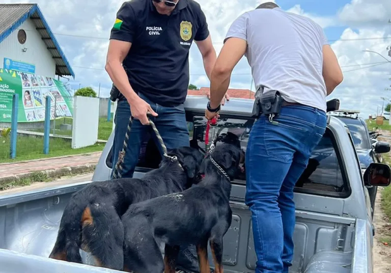 Cães maltratados são resgatados e polícia investiga responsáveis em Rodrigues Alves