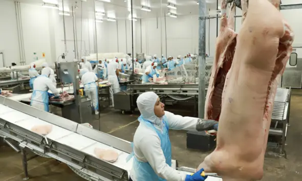 Exportações de Carne Suína crescem mais de 17 vezes e dominam as exportações do Acre