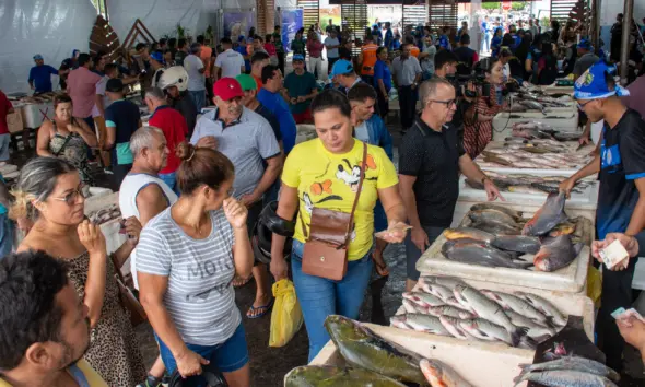 4ª Feira do Peixe de Cruzeiro do Sul tem expectativa de comercialização de 7 toneladas de pescado