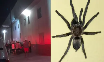 Adolescente que caiu de prédio ao tentar matar uma aranha teve alta hospitalar