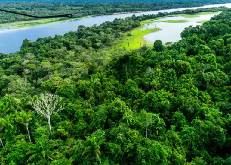Municípios do Baixo Acre, Purus e Envira são beneficiadas com Fundo da Amazônia