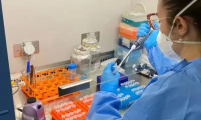 Vacina de DNA contra zika se mostra eficaz em testes com camundongos