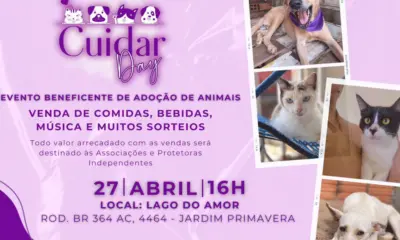 Evento de adoção de animais no Lago do Amor celebra um ano do Projeto