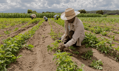 SEMA e MDA farão regularização ambiental e fomento à agricultura familiar em Xapuri