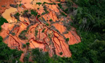 Garimpo na Amazônia ocupa área duas vezes maior que Belém, diz estudo