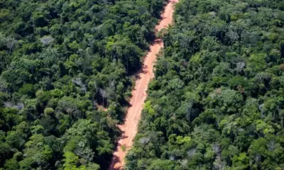 Facções avançam na Amazônia e aliciam jovens da floresta e indígenas para o tráfico