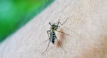 Acre confirma quase 2 mil casos de dengue e três mortes pela doença em 2025