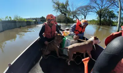 Bombeiros do Acre já salvaram 20 pessoas e 3 animais no Rio Grande do Sul