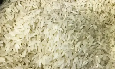 Conab afirma que o quilo do arroz importado será vendido a R$ 4 ao consumidor